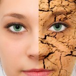 O-B_shutterstock_152810096